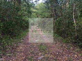  Land for sale in Valladolid, Yucatan, Valladolid