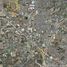  Land for rent in Zapopan, Jalisco, Zapopan