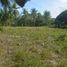  Grundstück zu verkaufen in Sibonga, Central Visayas, Sibonga