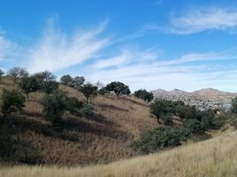  Grundstück zu verkaufen in Nogales, Sonora, Nogales