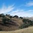 Land for sale in Nogales, Sonora, Nogales
