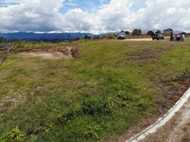  Land for sale in Penol, Antioquia, Penol