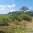  Terrain for sale in Sekotong Tengah, Lombok Barat, Sekotong Tengah