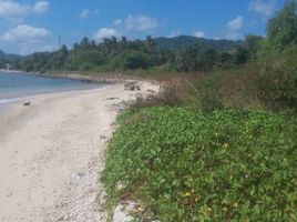  Terrain for sale in Sekotong Tengah, Lombok Barat, Sekotong Tengah