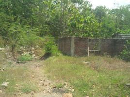  Land for sale in Sedayu, Bantul, Sedayu