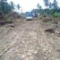  Land for sale in Sedayu, Bantul, Sedayu