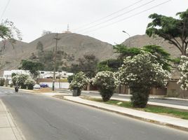  Terrain for sale in University of Lima, Santiago De Surco, La Molina