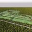  Land for sale in Tixkokob, Yucatan, Tixkokob