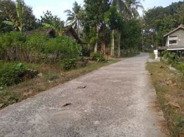 2 Kamar Rumah for sale in Sedayu, Bantul, Sedayu