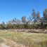  Land for sale in Aldama, Chihuahua, Aldama