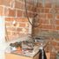 Estudio Casa en venta en La Matanza, Buenos Aires, La Matanza
