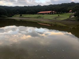  Terreno (Parcela) en venta en Puebla, Puebla, Puebla, Puebla