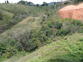  Land for sale in Guarne, Antioquia, Guarne