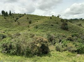  Terreno (Parcela) en venta en Guarne, Antioquia, Guarne