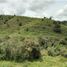  Land for sale in Guarne, Antioquia, Guarne