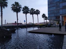 101 제곱미터입니다 Office for sale in Cuernavaca, 모렐 로스, Cuernavaca