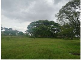  Terreno (Parcela) en venta en Valle Del Cauca, Jamundi, Valle Del Cauca