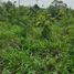  Land for sale in San Felipe, Yucatan, San Felipe