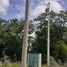  Land for sale in San Felipe, Yucatan, San Felipe
