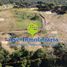  Land for sale in Caqueta, Florencia, Caqueta