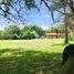  Land for sale in Temixco, Morelos, Temixco