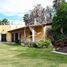  Land for sale in Temixco, Morelos, Temixco