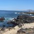  Grundstück zu verkaufen in Ensenada, Baja California, Ensenada