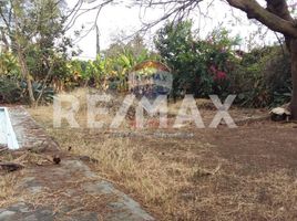  Grundstück zu verkaufen in Cuernavaca, Morelos, Cuernavaca, Morelos