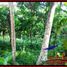  Land for sale in Selemadeg, Tabanan, Selemadeg