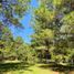 3 Schlafzimmer Villa zu verkaufen in Morelia, Michoacan, Morelia, Michoacan