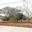  Land for sale in Yautepec, Morelos, Yautepec