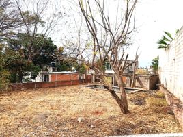  Land for sale in Yautepec, Morelos, Yautepec