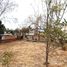  Land for sale in Yautepec, Morelos, Yautepec