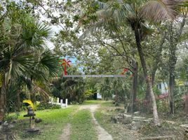  Grundstück zu verkaufen in Cancun, Quintana Roo, Cancun