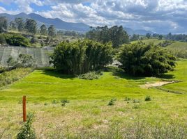  Terreno (Parcela) en venta en Marinilla, Antioquia, Marinilla