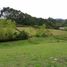  Land for sale in Marinilla, Antioquia, Marinilla