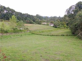  Land for sale in Marinilla, Antioquia, Marinilla