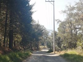  Grundstück zu verkaufen in Isidro Fabela, Mexico, Isidro Fabela