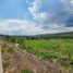  Land for sale in Juanacatlan, Jalisco, Juanacatlan