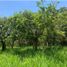  Land for sale in Barichara, Santander, Barichara