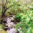 Studio Villa for sale in Jaramillo, Chiriqui, Jaramillo, Boquete, Chiriqui