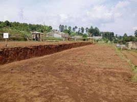  Land for sale in Bandung, West Jawa, Lembang, Bandung