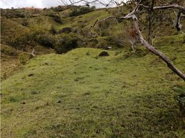  Land for sale in Retiro, Antioquia, Retiro