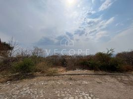 Terrain à vendre à Tlajomulco De Zuniga, Jalisco, Tlajomulco De Zuniga