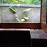 Maison 3 chambre à vendre à Seyegan, Yogyakarta, Seyegan