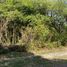  Terreno (Parcela) en venta en Chapala, Jalisco, Chapala