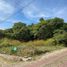  Terreno (Parcela) en venta en Chapala, Jalisco, Chapala