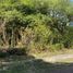  Terreno (Parcela) en venta en Chapala, Jalisco, Chapala