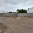  Grundstück zu verkaufen in Torreon, Coahuila, Torreon