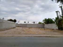  Grundstück zu verkaufen in Torreon, Coahuila, Torreon